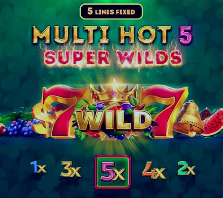 Multi Hot 5 Super Wilds slot game