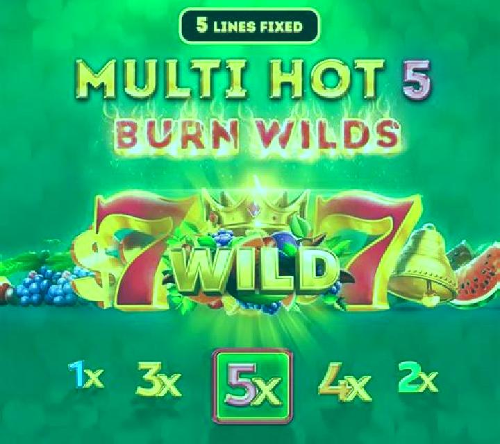Multi Hot 5 Super Wilds slot machine