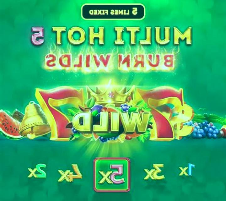 Multi Hot 5 Super Wilds slot