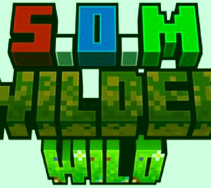 Multi Wild 243 slot