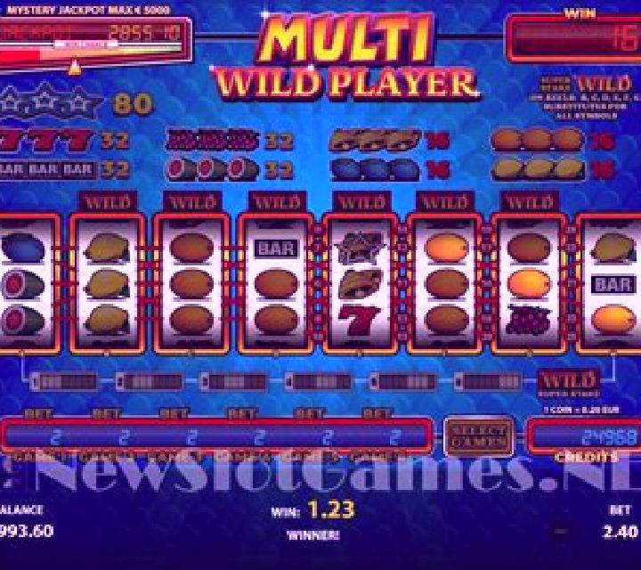 Multi Wild Player online slot