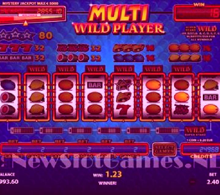 Multi Wild Player slot game