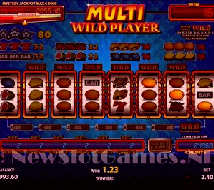 Multi Wild Player slot machine