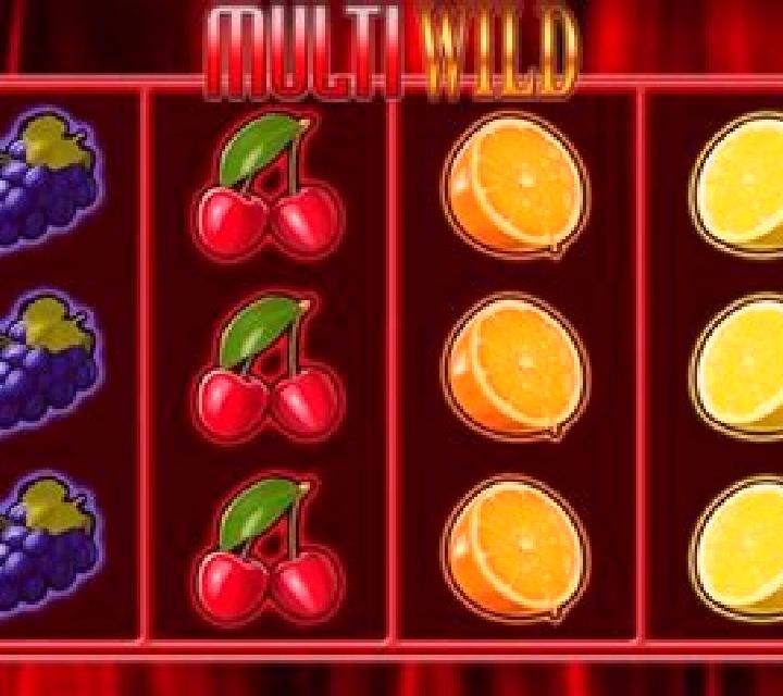 Multi Wild slot machine