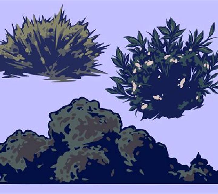 Mystery Bush online slot