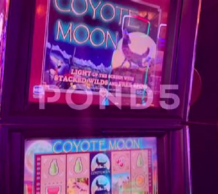 Mystic Moon (Casino Technology) online slot