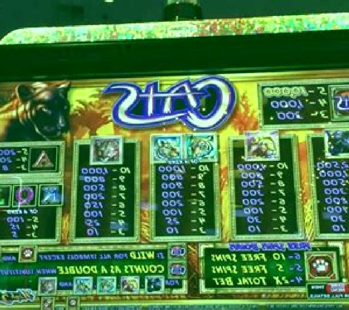 Natal Cats slot machine