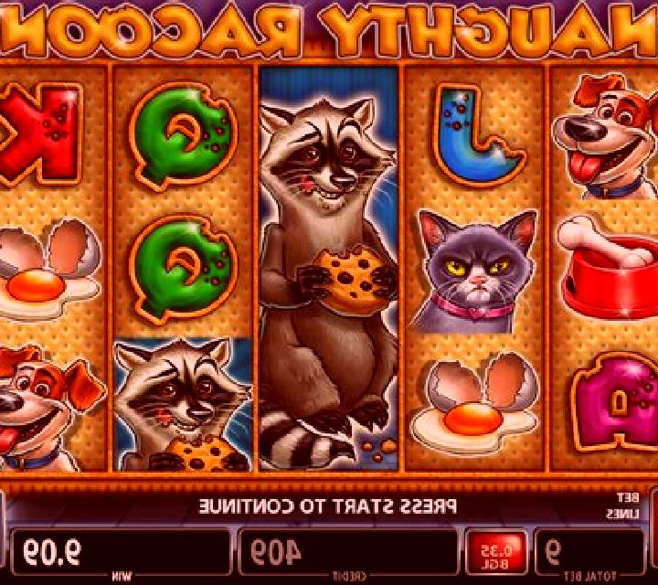 Naughty Racoon slot game