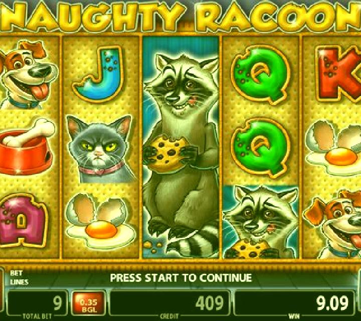 Naughty Racoon slot machine