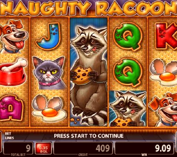 Naughty Racoon slot