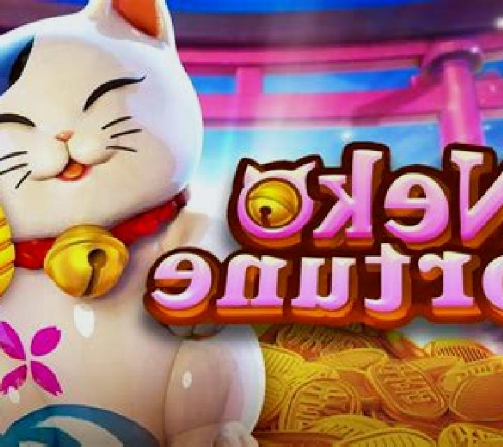 Neko Fortune slot game
