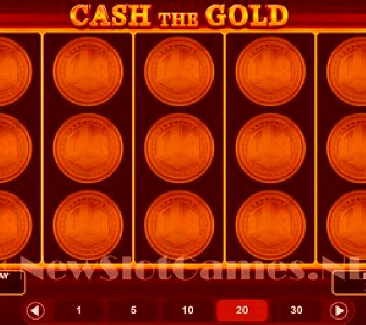 Net Cash slot