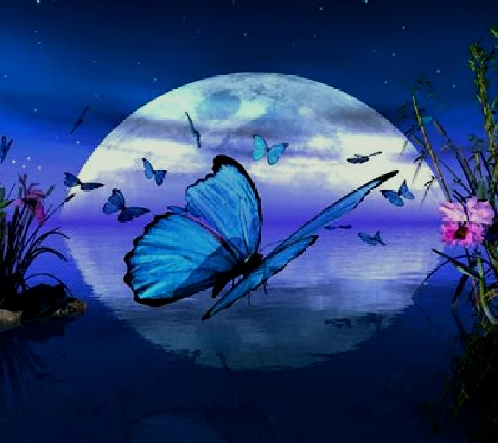 NIGHT BUTTERFLY FLIGHT online slot