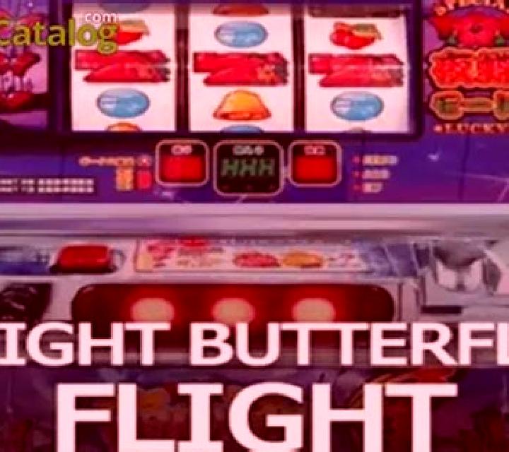 NIGHT BUTTERFLY FLIGHT slot