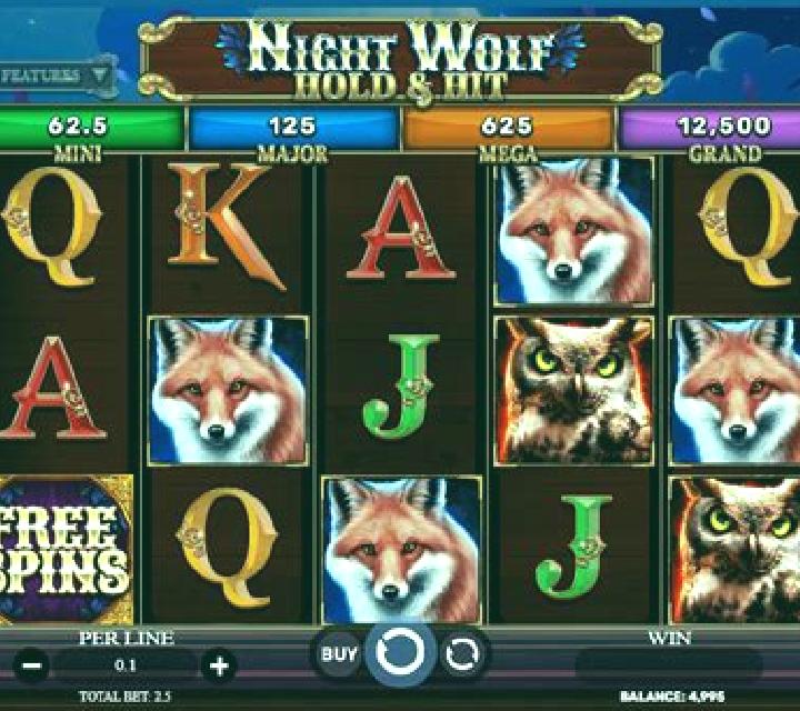 Night Wolf - Hold & Hit slot game