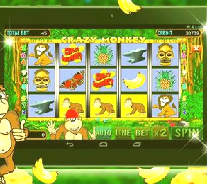 Ninja Monkey slot game