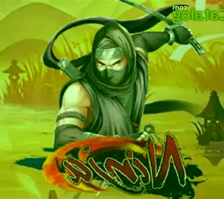 Ninja (Royal Slot Gaming) slot