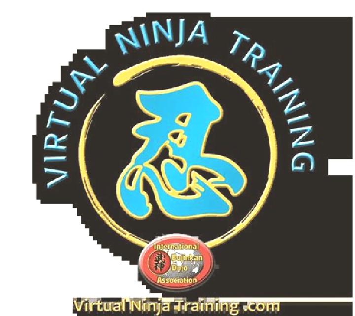 Ninja (Virtual Tech) slot game