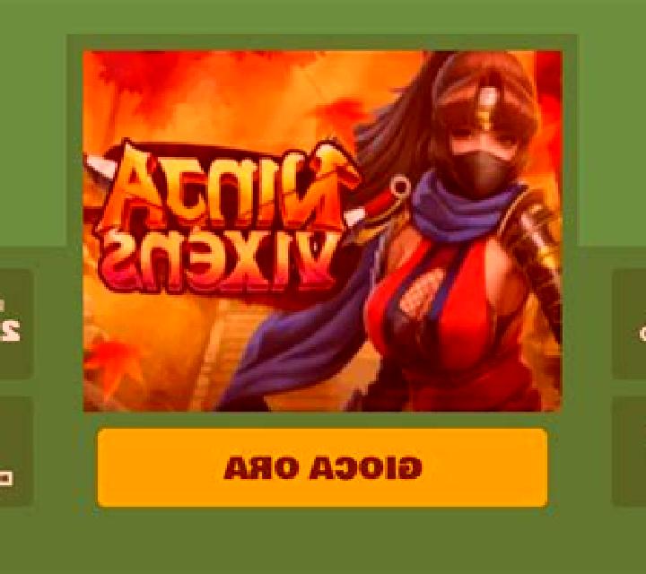 Ninja Vixens slot machine