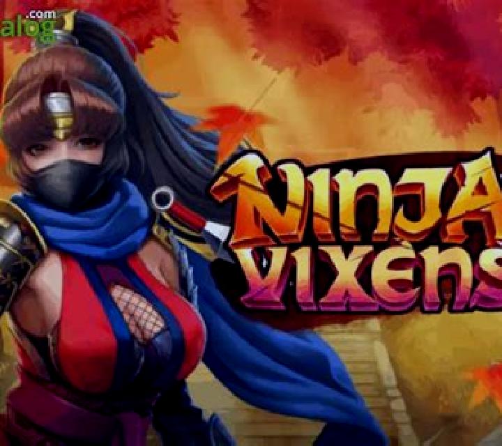Ninja Vixens slot