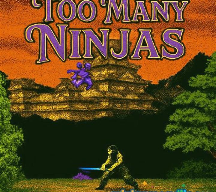 Ninja s Fortune online slot