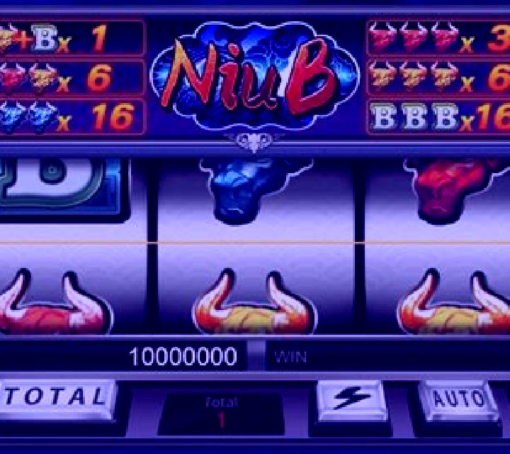 Niu B slot