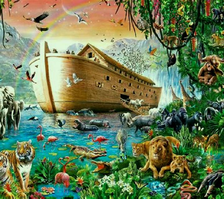 Noah s Ark (Spinoro) slot