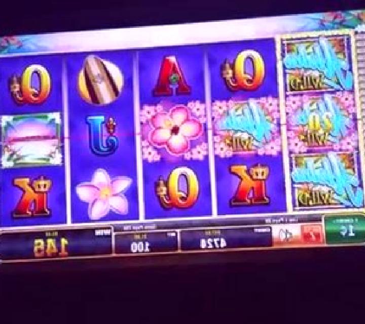 Northern Delight slot machine