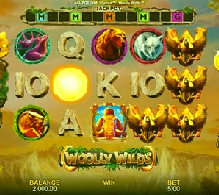 Northern Wilds slot game