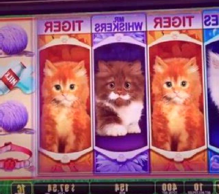 Not Enough Kittens slot machine