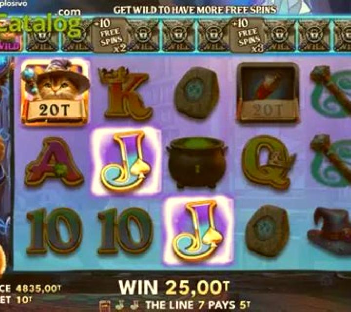 O Gato Mago Explosivo slot