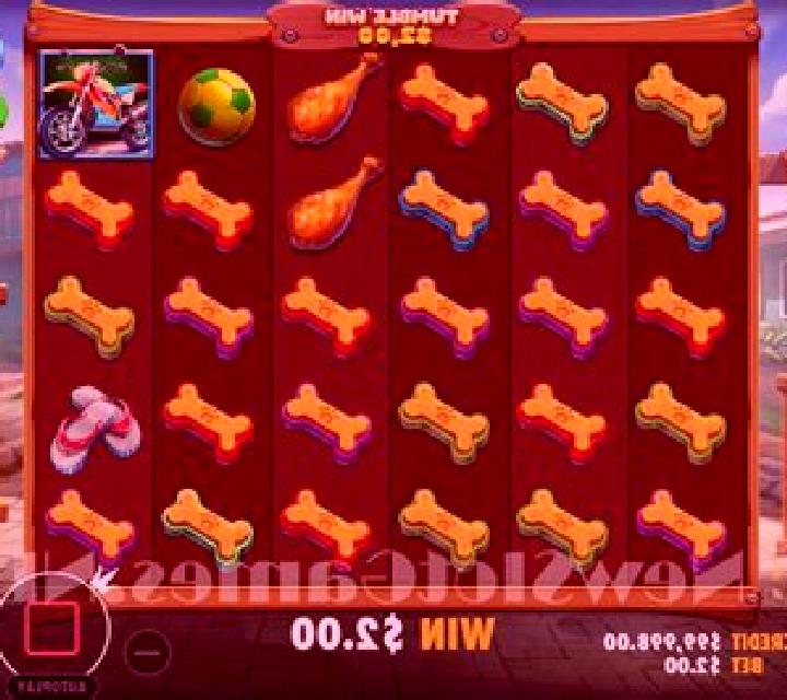 O Vira-Lata Caramelo slot