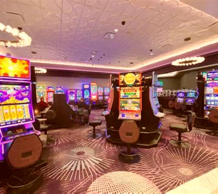 Oasis Poker Professional Series High Limit slot