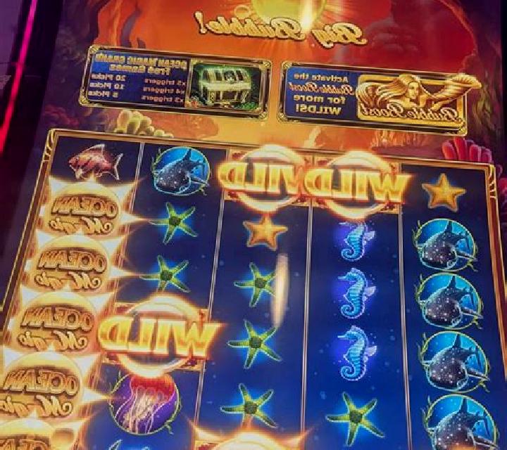 Ocean Park slot machine