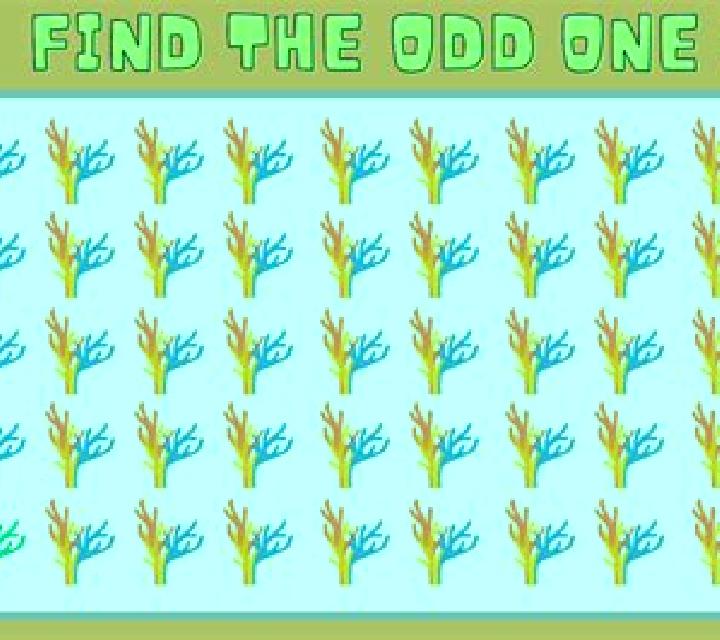 Odd One Out online slot