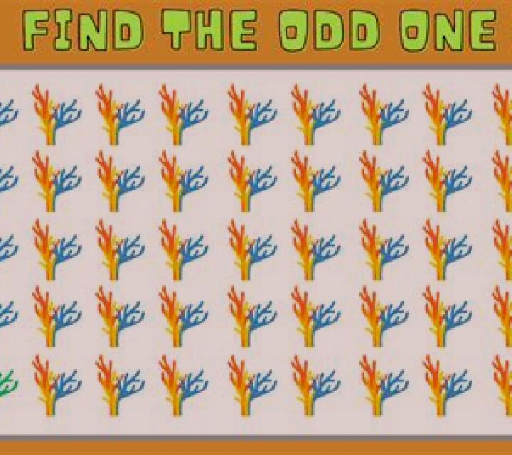 Odd One Out slot game