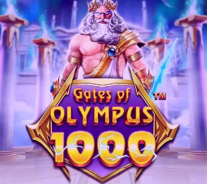 Olympus Power Link slot