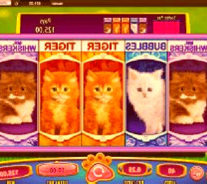 OMG! Kittens online slot