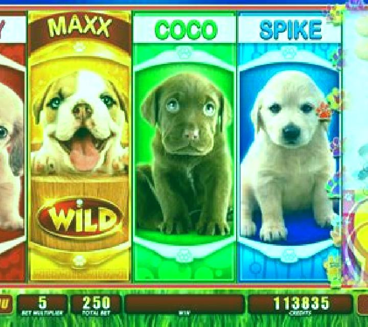 OMG! Puppies online slot