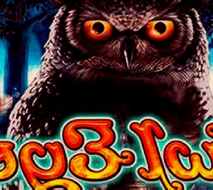 Owl Eyes slot game