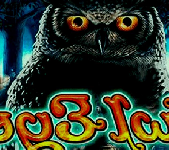 Owl Eyes slot machine