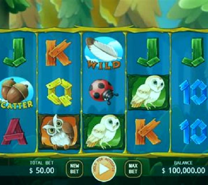 Owl In Forest slot machine