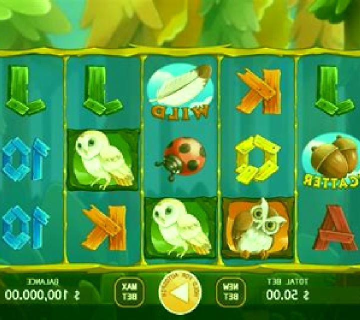 Owl In Forest slot
