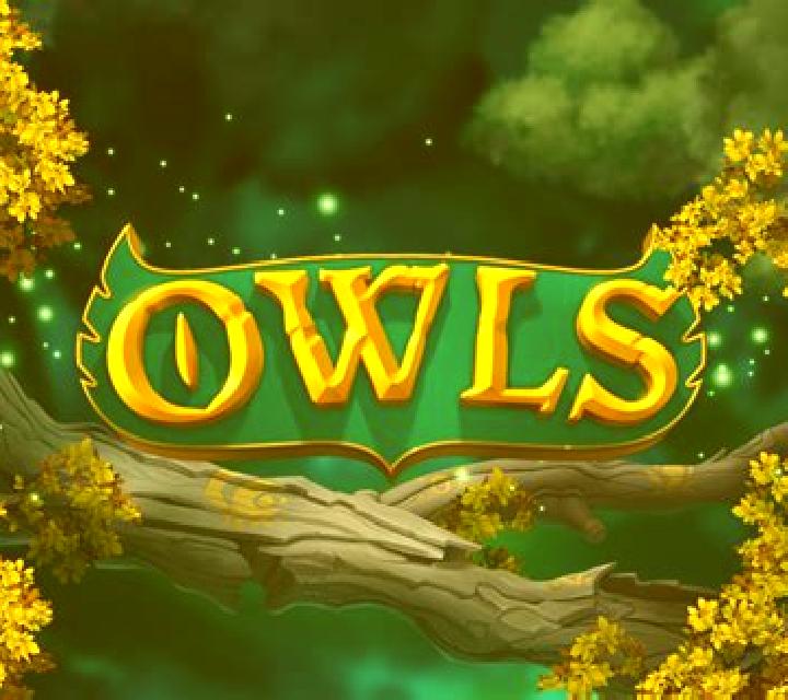 Owl s Magic online slot