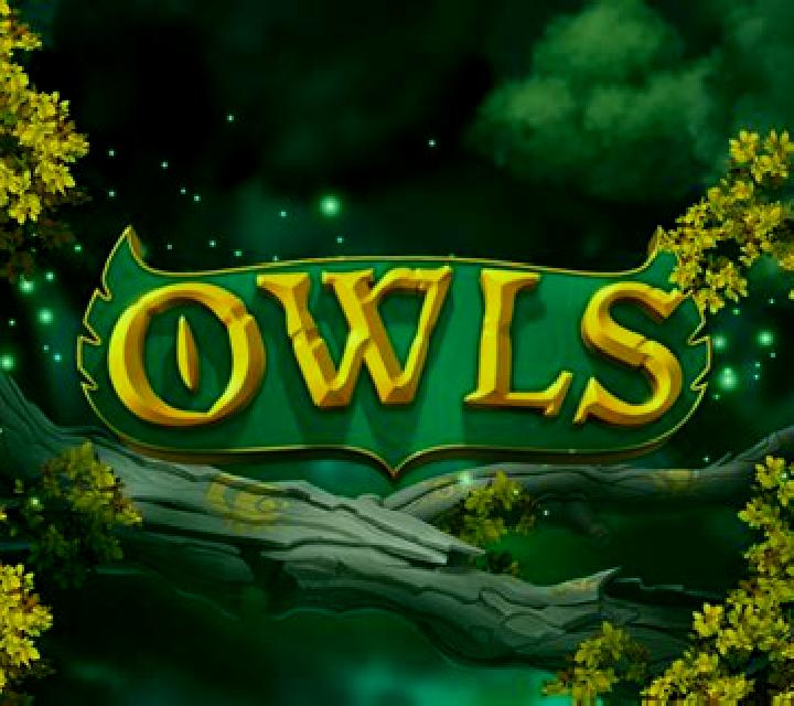 Owl s Magic slot game