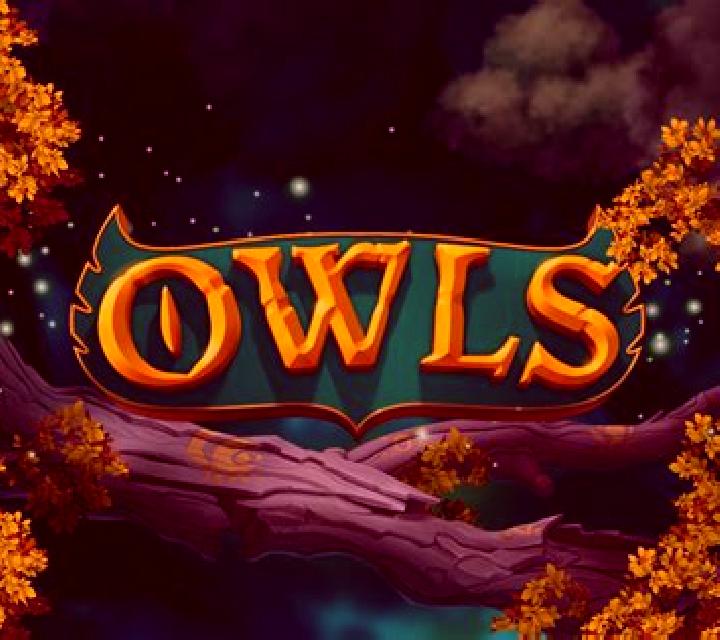 Owl s Magic slot machine