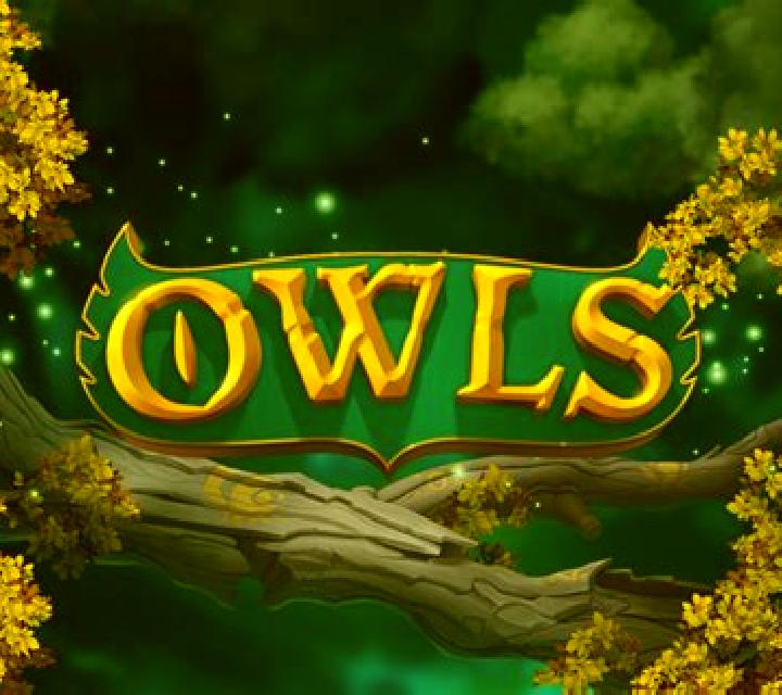 Owls of Wealth online slot