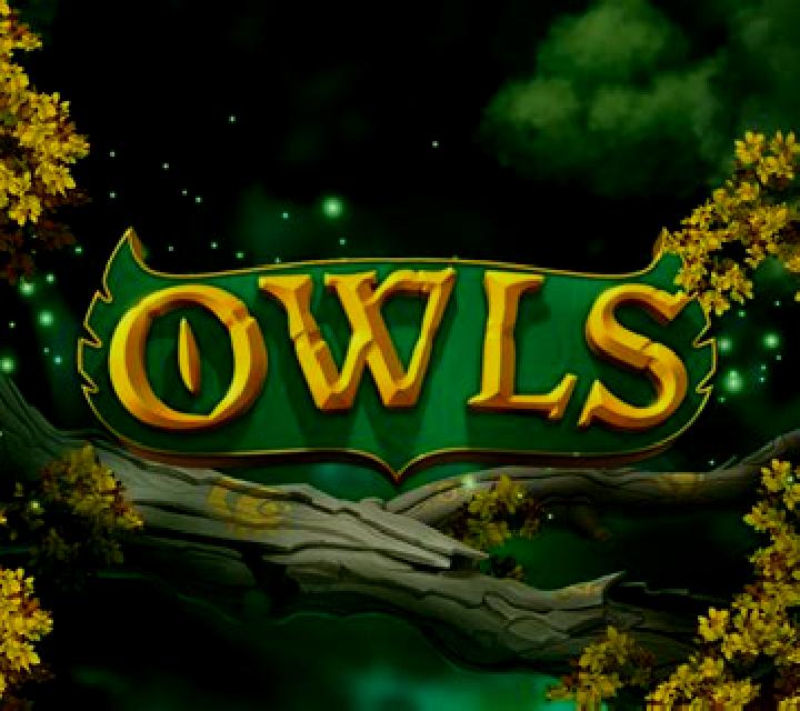 Owls online slot