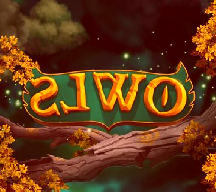 Owls slot game