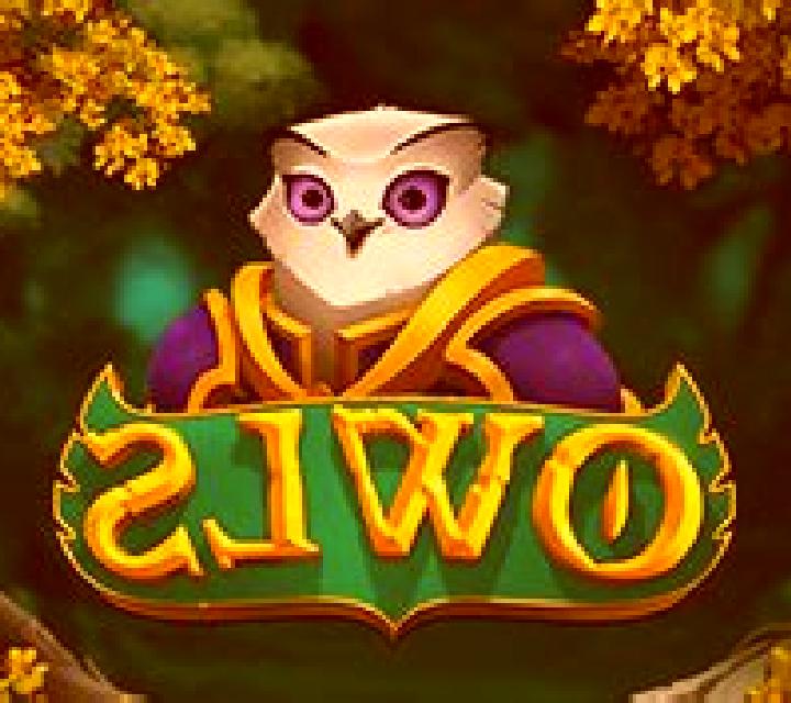 Owls slot